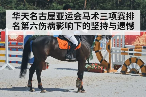 华天名古屋亚运会马术三项赛排名第六伤病影响下的坚持与遗憾 - KAIYUNSPORTS
